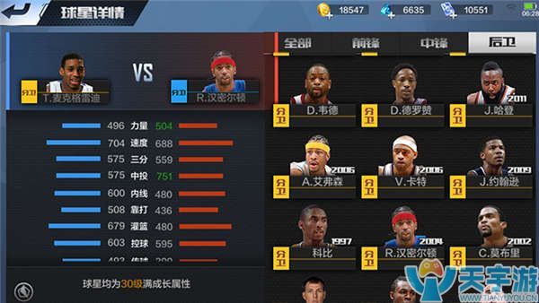 球迷观赛体 球迷观赛体