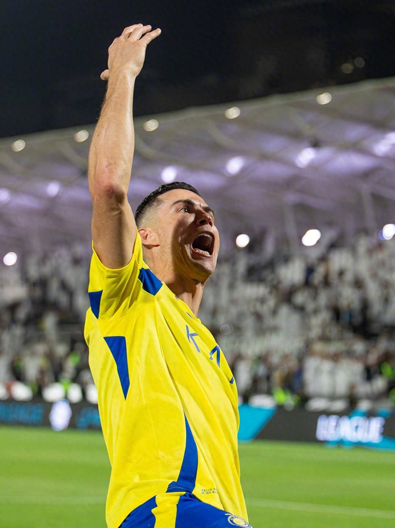 之间的灵活 之间的灵活