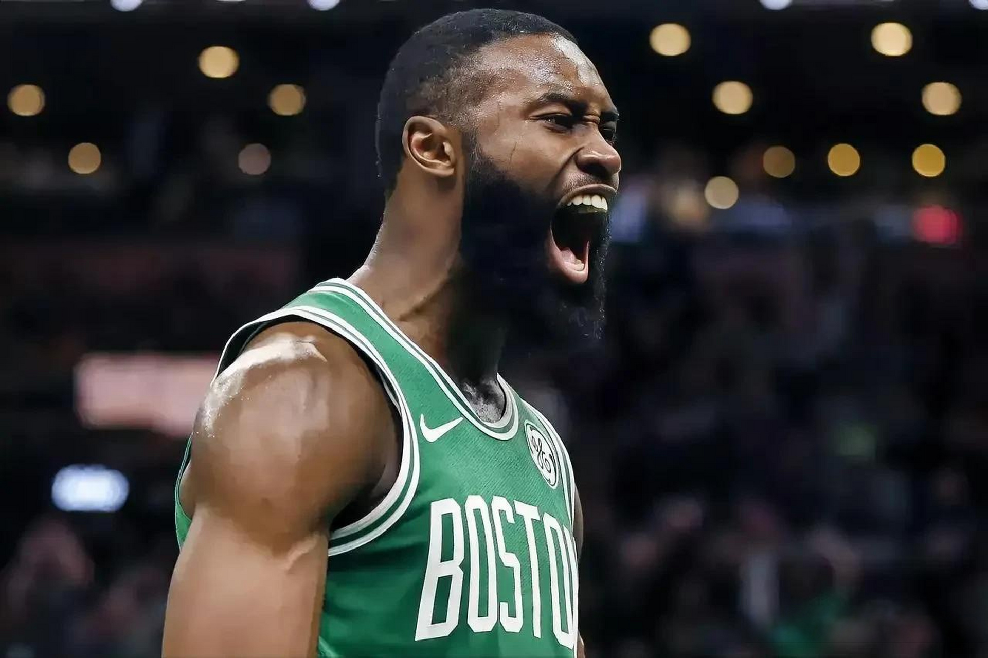 线上合规加 线上合规加